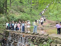 -波尔登森林公园