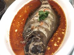 -巴依老爷新疆美食(常营店)