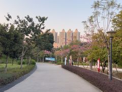-中山市树木园