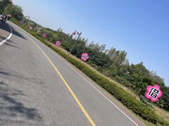 -杏花村文化旅游区