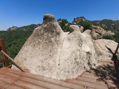 -大岭沟猕猴桃谷风景区