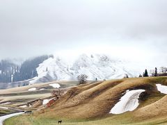 -新疆那拉提国家旅游度假区