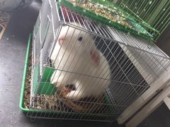 -南京夫子庙国际青年旅舍(平江府路店)