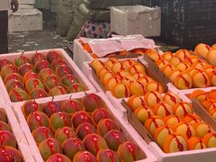 -双福水果批发市场