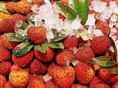 -胡麻地果研所(兰州中心BM店)