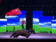 -泉城欧乐堡梦幻世界