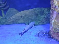 -秦皇岛新澳海底世界