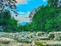 -禅宗少林·音乐大典