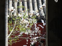 -潭柘寺景区