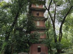 -阿育王寺