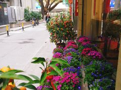 -元氏钵仔糕(北京路店)