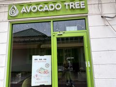 -油梨树AVOCADO TREE(顺义新国展店)