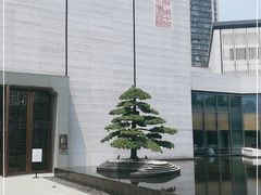 -中国江南水乡文化博物馆