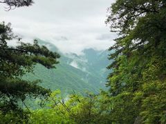 -陕西省红河谷森林公园
