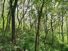 -南京金牛湖风景区