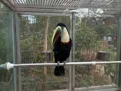 -南宫五洲植物乐园