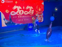-石家庄海洋公园