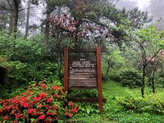 -庐山风景区花径公园