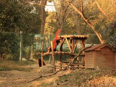 -常州淹城野生动物世界