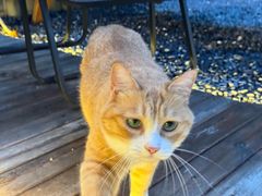 -牛串门串串香(东直门簋街总店)