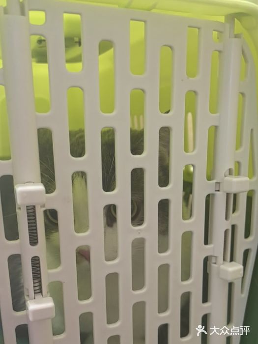 芭比堂动物医院·CT·微创中心(新顺分院)图片