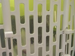 -芭比堂动物医院·CT·微创中心(新顺分院)