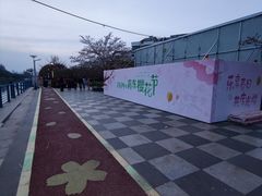-高东镇樱花园