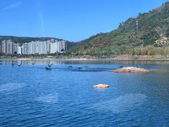 -宝荣鱼馆·临湖之宴(千岛湖店)