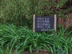 -云峰山自然风景区