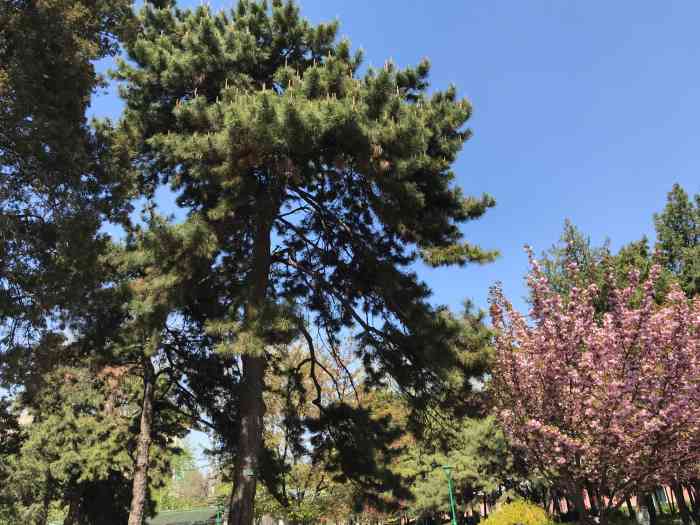 人民大学品园-"地址位于人名大学里面的一个胡同,位于风尚.