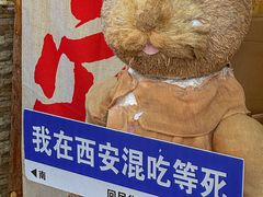-马茹特色饺子馆