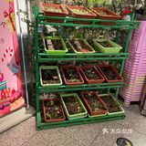 喜欢吃软一点的铁汁们建议多煮一会儿
