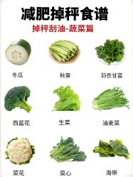 -Fundi张玉珊修身堂·indiba·BTL科技瘦身