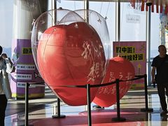 -南昌双子塔303观光厅