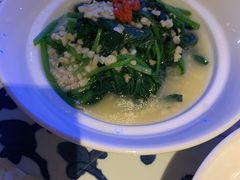 燕麦菠菜-桂满陇天书(南京德基旗舰店)