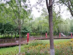 -东升文体公园