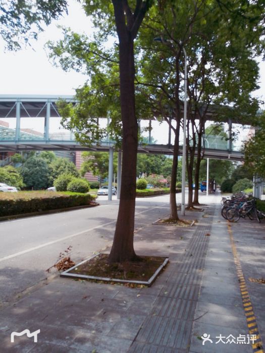 同济大学(嘉定校区)图片