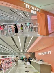 -THE COLORIST调色师