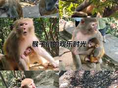 -黔灵山公园