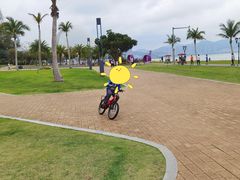-野狸岛