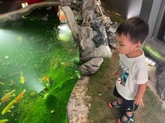 -顺风山庄(水濂山店)