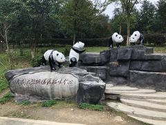 -都江堰中华大熊猫苑