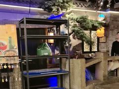 -绿茶餐厅(财富购物中心店)