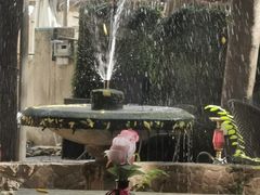 -Golden Lily河内巴黎法越料理餐厅(建国西路店)