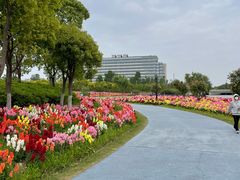 -春花秋色城市公园