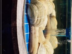 -渔歌雅宴·渔鲜烤鸭(北京西站店)