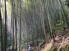 -崀山风景名胜区
