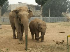 -石家庄市动物园