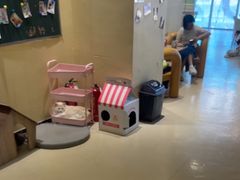 -藏猫猫咖啡主题馆(中央大道店)