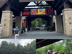 -阿露佳·舌尖上的安吉菜